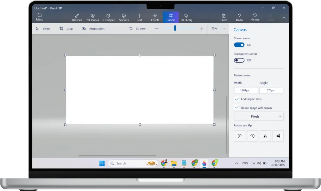 Canvas paint 3d Canvas paint 3d